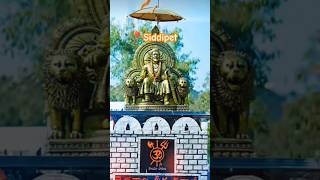 Shivaji Maharaj jayanti in Siddipet 🚩🚩🚩 #trending #shorts #siddipet