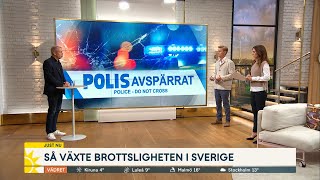Så växte brottsligheten i Sverige - Nyhetsmorgon (TV4)