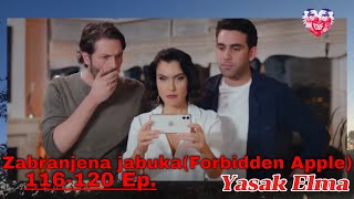 Forbidden Fruit (Yasak Elma) 116-120 episodes content with translation (Season 4)