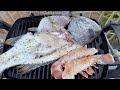 fishing australia day for dhufish plus a surprise capture fillet catch and cook