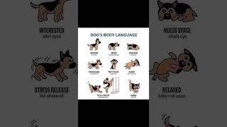 [🐾 Unlocking Dog Body Language Mysteries! 🤔 Crack the Code] #CanineCues #dog #doglover