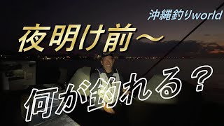 夜明けから夜まで。【沖縄フカセ釣り】