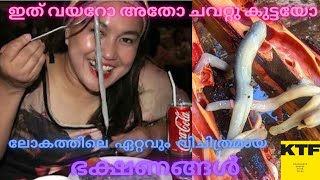 ലോകത്തിലെ ഏറ്റവും വിചിത്രമായ ഭക്ഷണങ്ങൾ | Weirdest Foods In The World | Malayalam /KTF talks