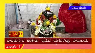 ಬಿಸಿಲುನಾಡಿನಲ್ಲಿ ವಿಶೇಷವಾಗಿ ನಡೆದ ಶಿವರಾತ್ರಿ ಸಂಭ್ರಮ