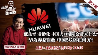 低生育 老龄化 中国人口塌陷会带来什么？ 华为养猪自救 中国5G路在何方？茅台总工入围中国院士候选人 资本的力量？BBC中国被禁 到底是谁戴着“有色眼镜”？《锦麟周点评》第26期2021.02.19