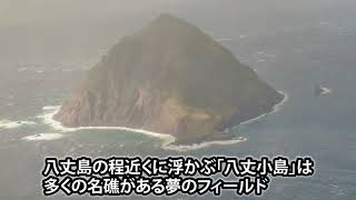 【夢のフィールド】飛行機から望む八丈小島