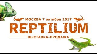 Полный видеообзор с выставки-продажи REPTILIUM (7 октября 2017)