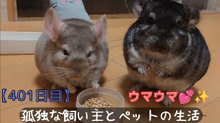 【401日目】ウマウマ💕✨【孤独な飼い主とペットの生活】