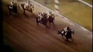 Secretariat - Preakness Stakes 1973