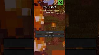 EV8F41PAHbk