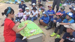 【キャンプ】小学生が無人島で魚を捌いて食べる【チャレンジ！無人島探検隊inせとうち2017】