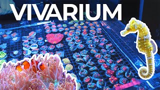 Highlights of THE BIGGEST Aquatic Convention in Europe | Vivarium 2024