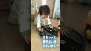 赤ちゃんに翻弄されるルンバさん🤣