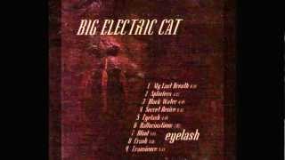 BIG ELECTRIC CAT - Eyelash