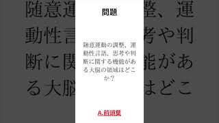 #1 【脳】介護福祉士一問一答　#介護　#介護福祉士　#勉強