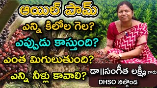 ఆయిల్ పామ్ సాగు || Oil palm Cultivation || Palm oil Saagu || DHSO సంగీతలక్ష్మి గారు #viral #farming