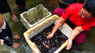 Ternyata lembat suka bersarang di tempat seperti ini, sekali dipasang penuh bubunya