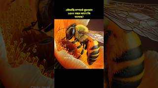 মৌমাছি সম্পর্কে কুরআন ১৪০০ বছর আগে কি বলেছে? #quran #bee #shorts