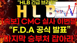 [HLB]  [속보] CMC 실사 이번달 \