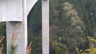 岐阜県八百津町　新旅足橋　バンジージャンプ