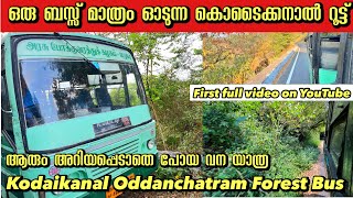 ഈ വഴി കൊടൈക്കനാൽ പോകാൻ ഒരു ബസ്സ് മാത്രം ഉള്ളൂ🔥 Oddanchatram to Kodaikanal Hidden Forest Bus Trip