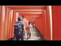 kyoto fushimi inari shrine 4k 伏見稲荷大社