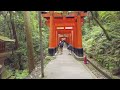 kyoto fushimi inari shrine 4k 伏見稲荷大社