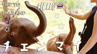 【Thailand🇹🇭#03】チェンマイ4日間！ゾウと遊び🐘かわいいホテルに出会いました☆치앙마이 브이로그☆Chiang mai Vlog