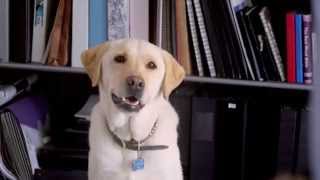 Ivan Allen Voice-Over | UPS Store Commercial | Pack and Ship with Confidence