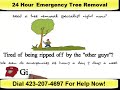 24 hour emergency tree removal service chattanooga tn call 423 207 4697 now