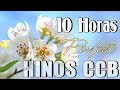 Hinos CCB 2022 - Canções De Hino Trazem A Felicidade Do Senhor - A Melodia Do Hino Ccb Acalma A Alma