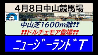 【競馬予想】GⅡニュージーランドトロフィー　ドルチェモア始動！～２０２３年４月８日 中山競馬場 ：４－１１