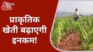 PM Modi ने दिया मंत्र! प्राकृतिक खेती से बढ़ेगी किसानों की इनकम! | Latest News | Natural Farming