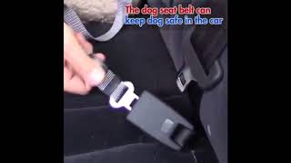 Adjustable Dog Car Safety Seat Belt Vehicle Seatbelt