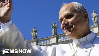 Pope Leo calls for robust AI regulation in sweeping first teaching document