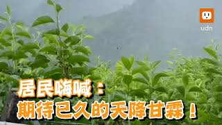 德基水庫終於下雨啦！梨山居民嗨喊：天降甘霖