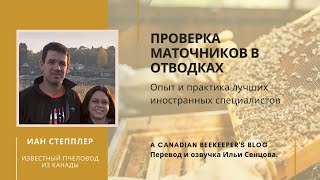 Иан Степплер: проверка маточников в 6-рамочных отводках (Канада)