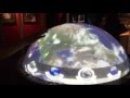 Ripley's Believe it or Not: Touchless Motion Earth