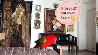 😲🦜Guddi Meri☕ Nahi laai...😣Maa iske bas ka kuchh nahi💥🤦‍♂️🙆🏻‍♂️