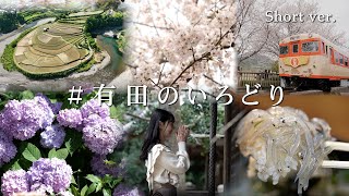 【和歌山県有田地域】観光PR動画「＃有田のいろどり」（短編：春Ver.）