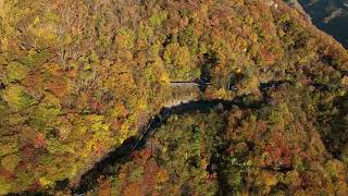 ドローン4K空撮　奥日光紅葉🍁いろは坂　明智平周辺