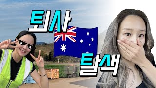 호주 vlog 🇦🇺 부부 워홀🦘브리즈번 워홀 / 해외 브이로그 / 해외살이 / 호주 공장 외노자 / 워홀 막차 / 호주 부나 / 모펫 / 브리즈번 미용실 / 탈색