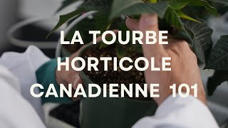 La tourbe horticole canadienne 101