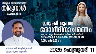 Day for the Sick | ലോക രോഗി ദിനാചരണം  2025 | Diocese of Idukki - Media Commission Idukki