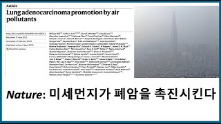 미세먼지가 일으키는 폐암, 이번달의 네이쳐 논문을 소개합니다.