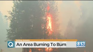 Why Is The Sierra So Prone To Wildfires?