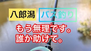 【八郎潟】成長したAFCのおじさんを見てくれぇ！！