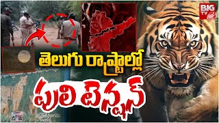 తెలుగు రాష్ట్రాల్లో పులి టెన్షన్ | Kagaznagar Tiger Latest | Tiger Tension in Telugu States | BIGTV