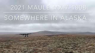 Alaska Hilltop Landing: 2021 Maule MX-7-180B