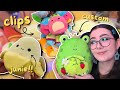 SQUISHMALLOW HUNTING and BIG SQUISH HAUL